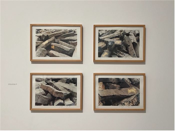 Joseph Beuys, 7000 Eichen (7000 Oaks), 1983, on view at The Broad. Photo by Maya Garabedian